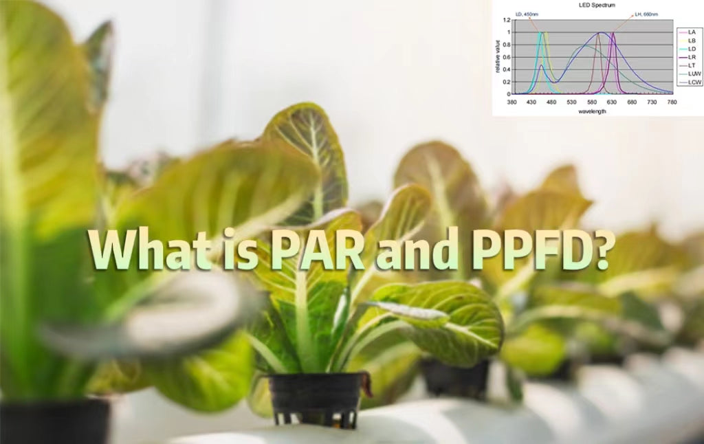 What is PAR and PPFD?