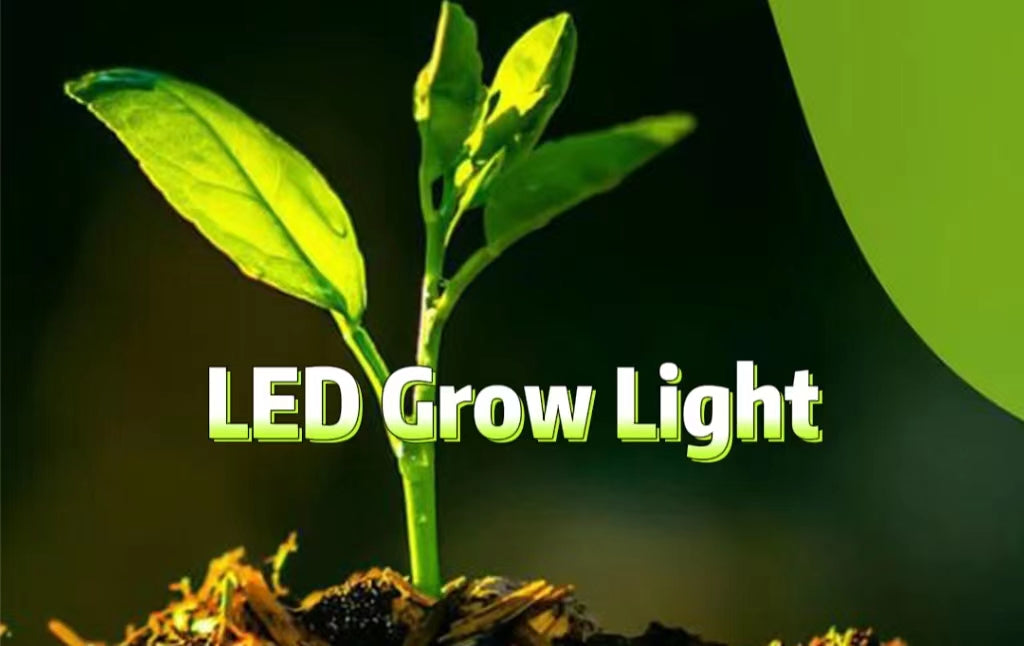 LED Grow Light Electri city Cost:Highon Saving sand Lighter on Budget