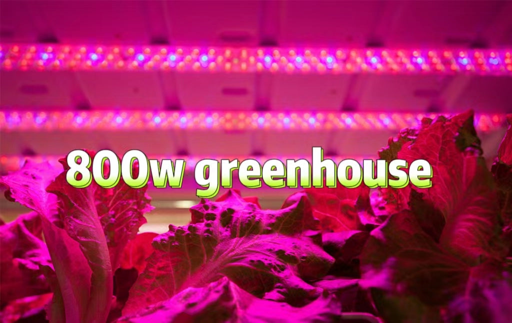 GA-800-R01 SEOUL 800w LED GROW LIGHT FOR INDOOR OR OUTDOOT