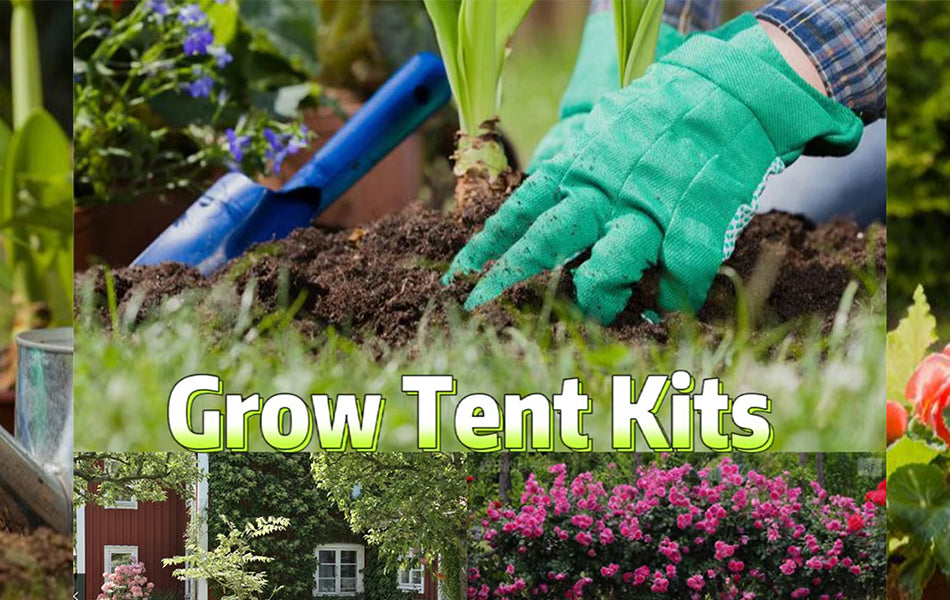 Complete Guide To Grow Tent And Circulation